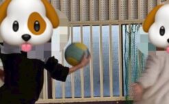 雨の日だって全力投球！鴨池公民館で運動したよ！【鹿児島市の放課後等デイサービス】